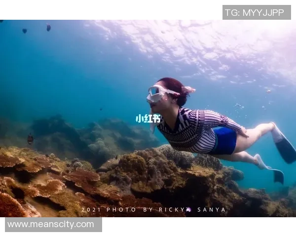 深圳极限运动队与成都极限运动队赛后复盘灵活性对比分析